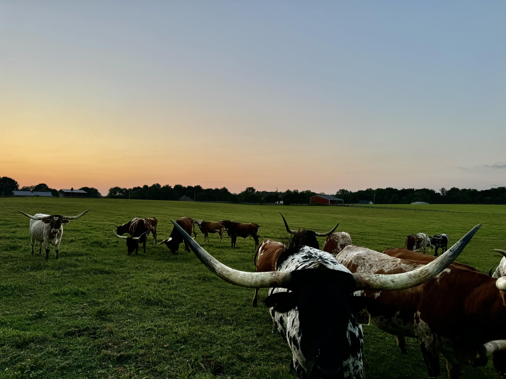 The Seven Rays Ranch | Cottontown TN
