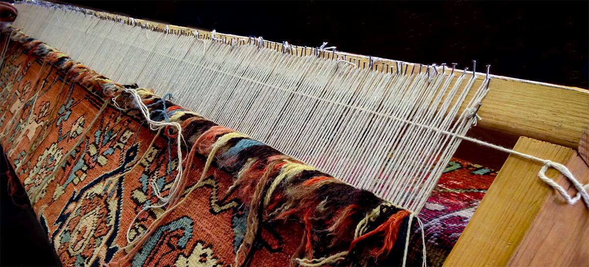 Doug's Rug Care - Did you come home to find that your best friend made ...
