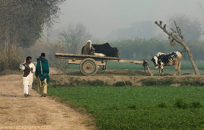 Chopal -چوپال | Facebook