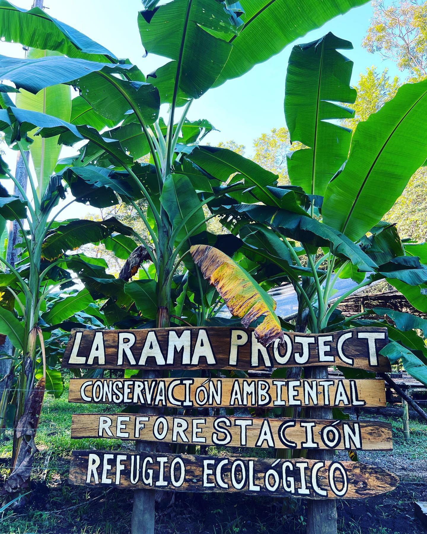 La Rama Project