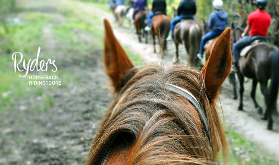 Ryders Horse Riding Tours | Labertouche VIC