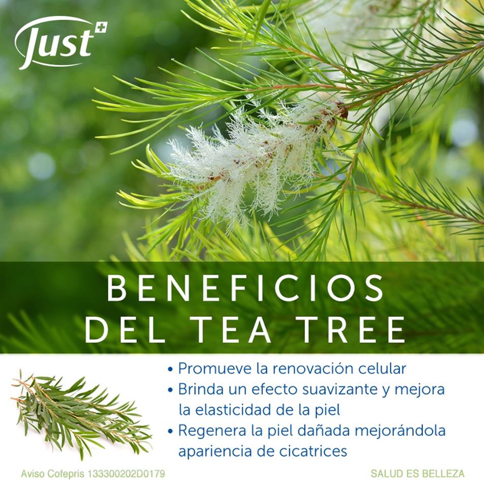 Conoces los maravillosos... - SwissJust - Aromaterapia Herbal