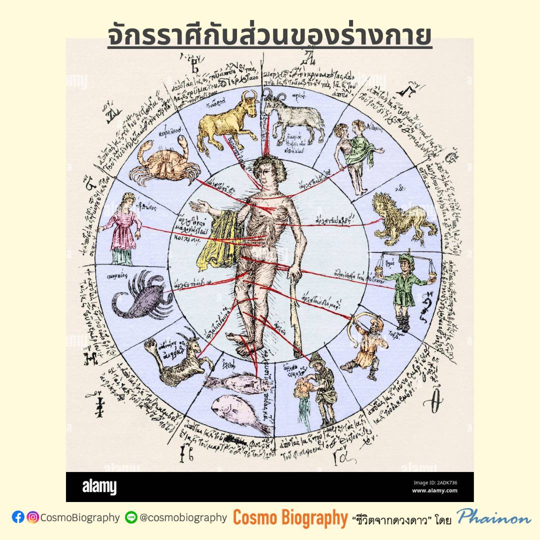 Cosmo Biography - โหราศาสตร์การแพทย์ หรือ Medical...