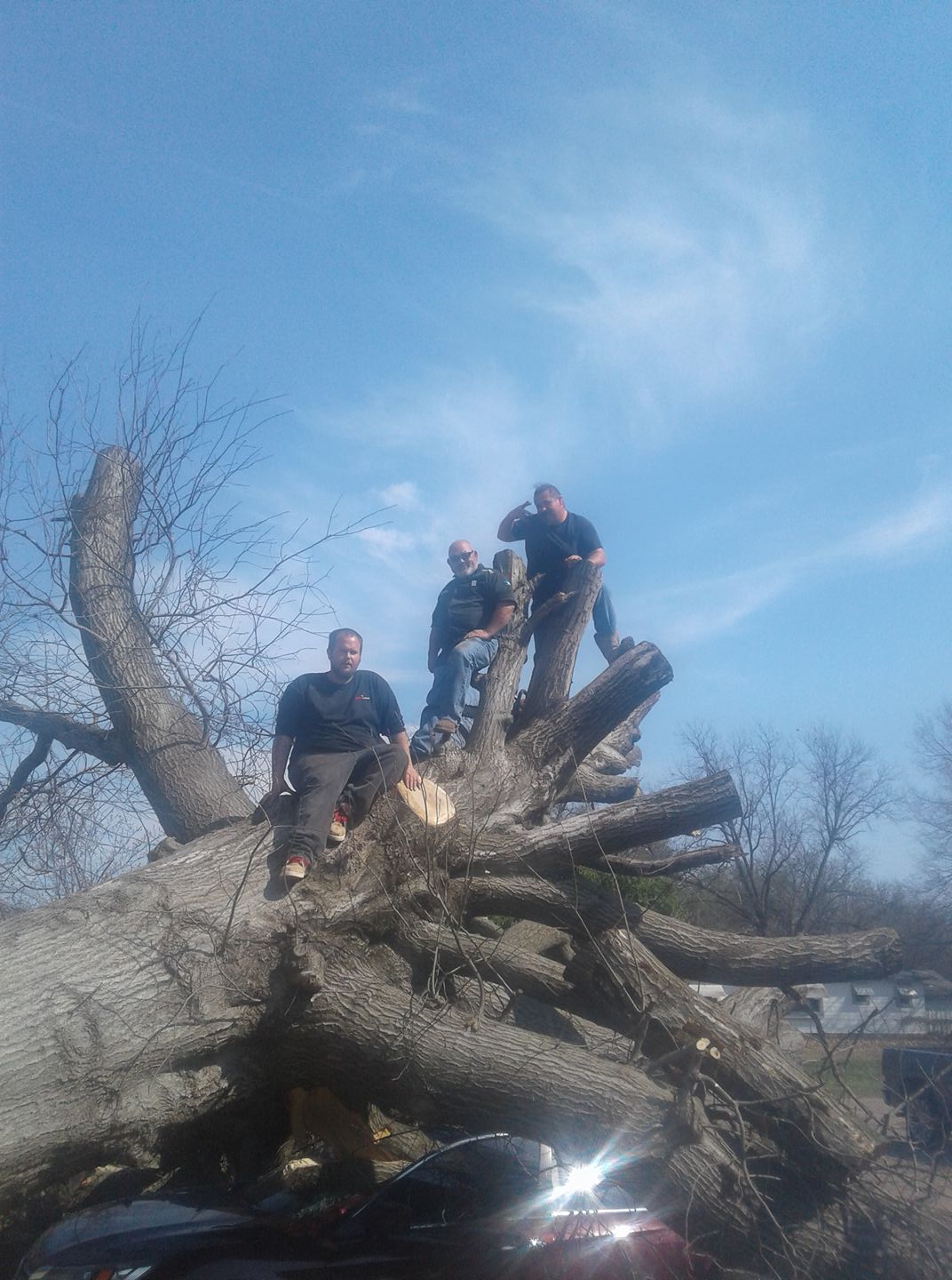 C & J Tree service | Shawnee OK