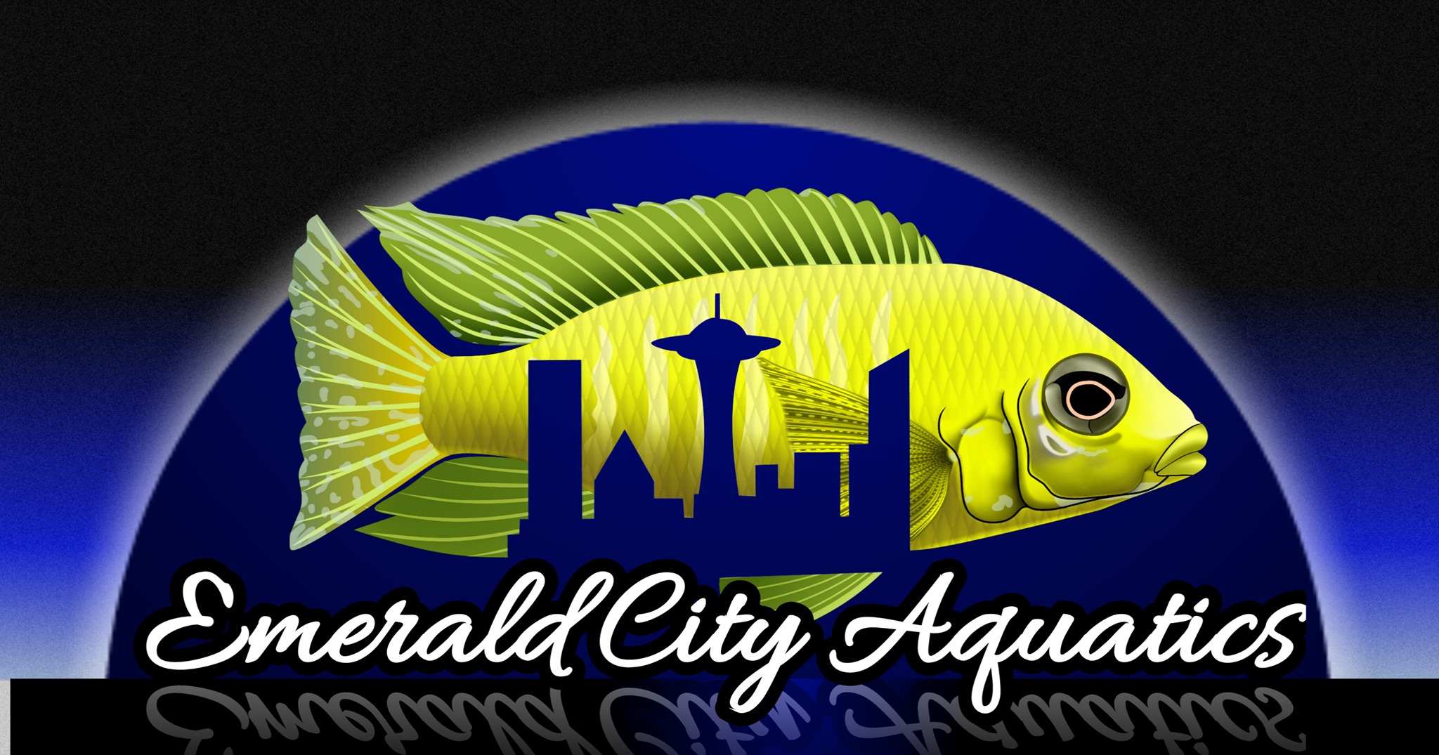 Boss Fish - Boss Fish added a new photo.
