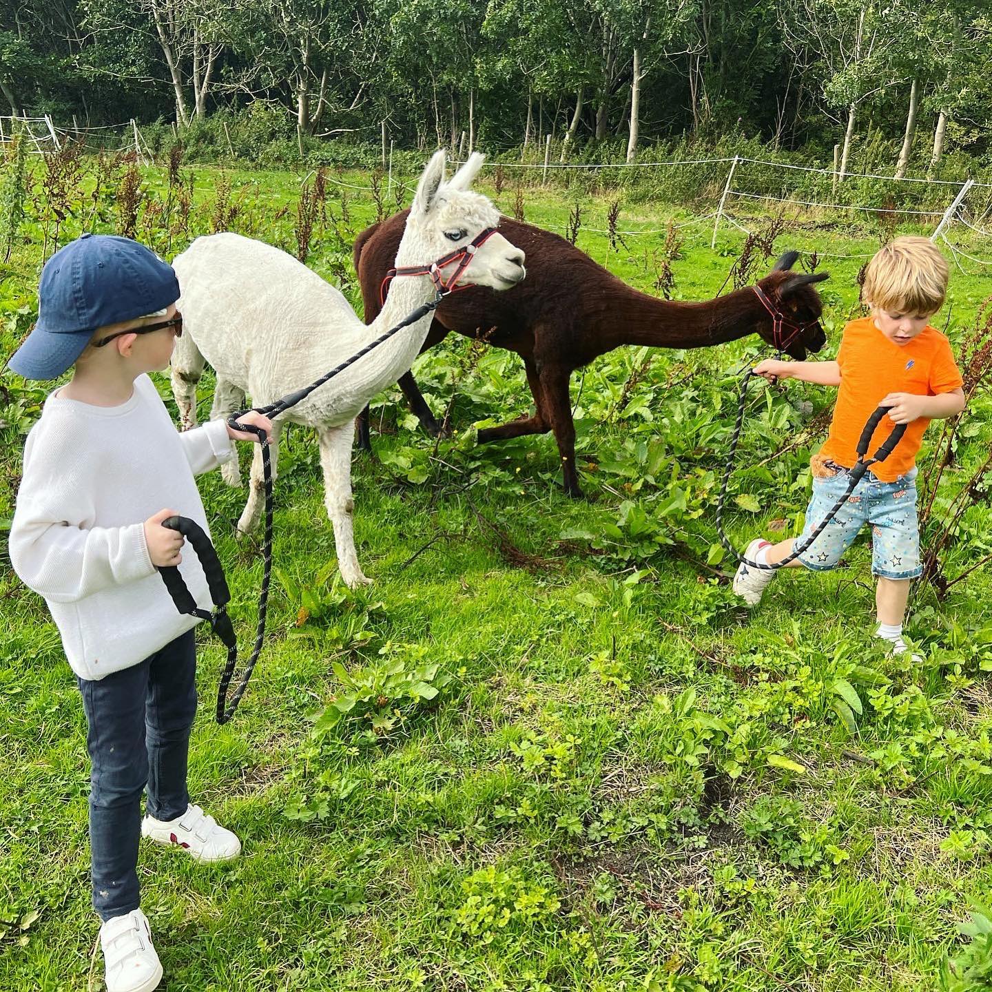 🦙Snig Hole Snacks🐴 🗺 Helmshore,... - Where we going mummy? | Facebook