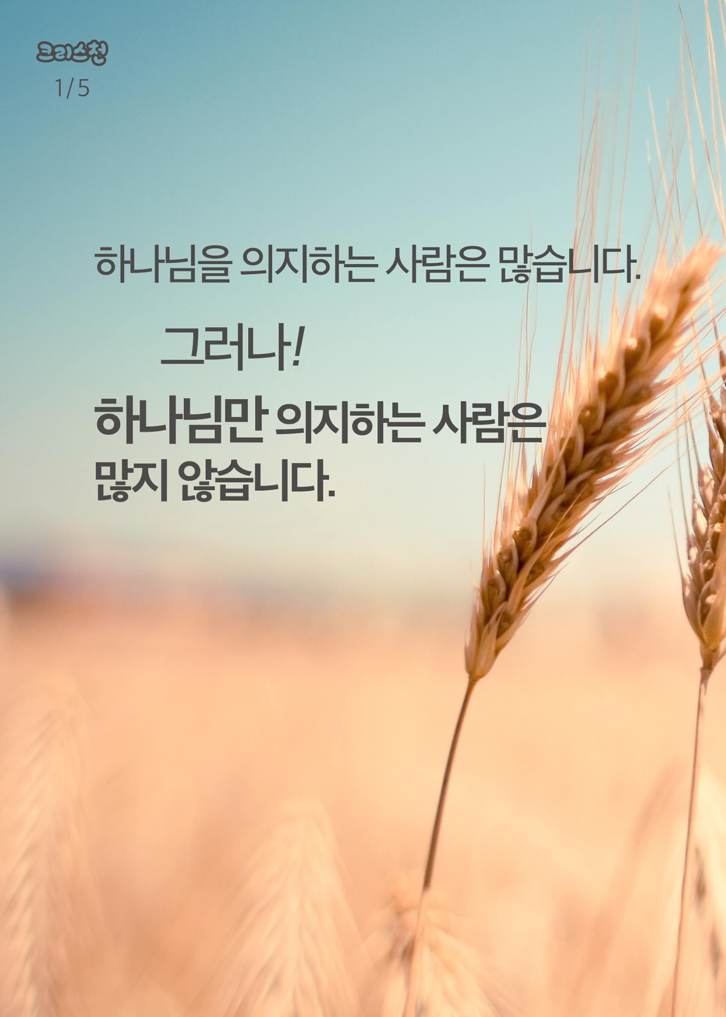 크리스천 - 하나님을 의지하지 마시고, 하나님만 의지하시기 바랍니다. 크리스천