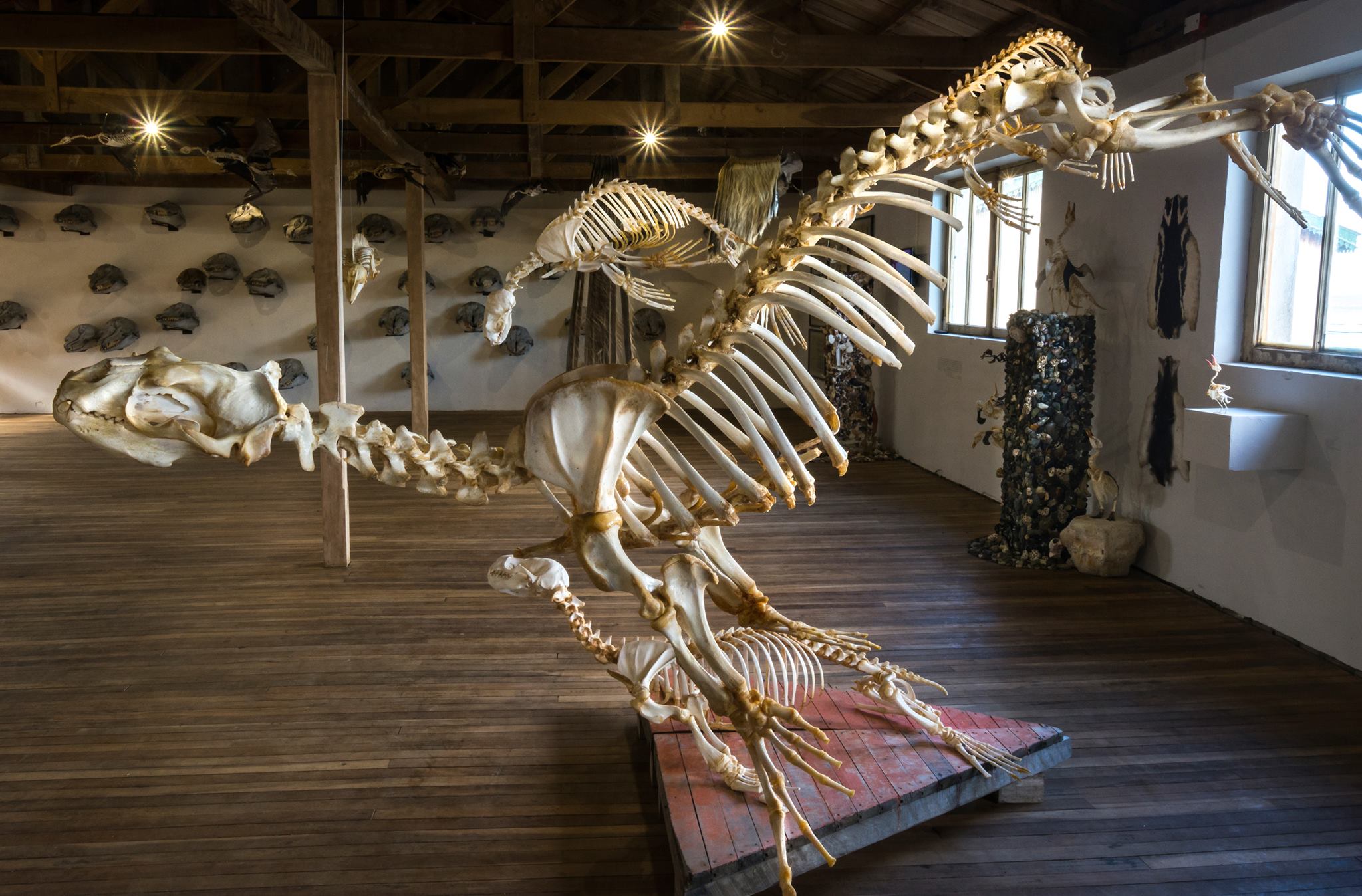 Museo de Historia Natural Río Seco | Río Seco