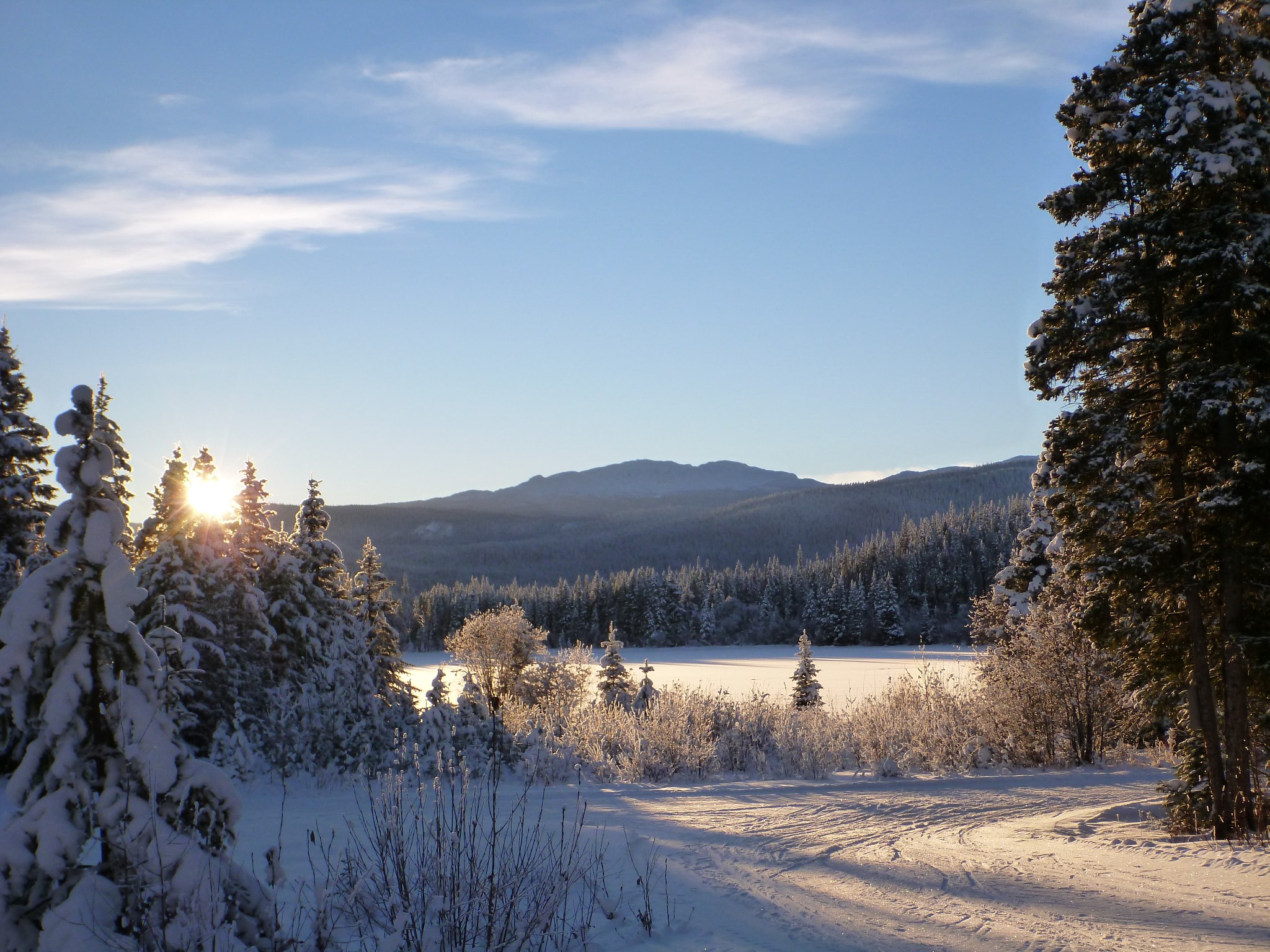 Morice Mountain Nordic Ski Club | Houston BC
