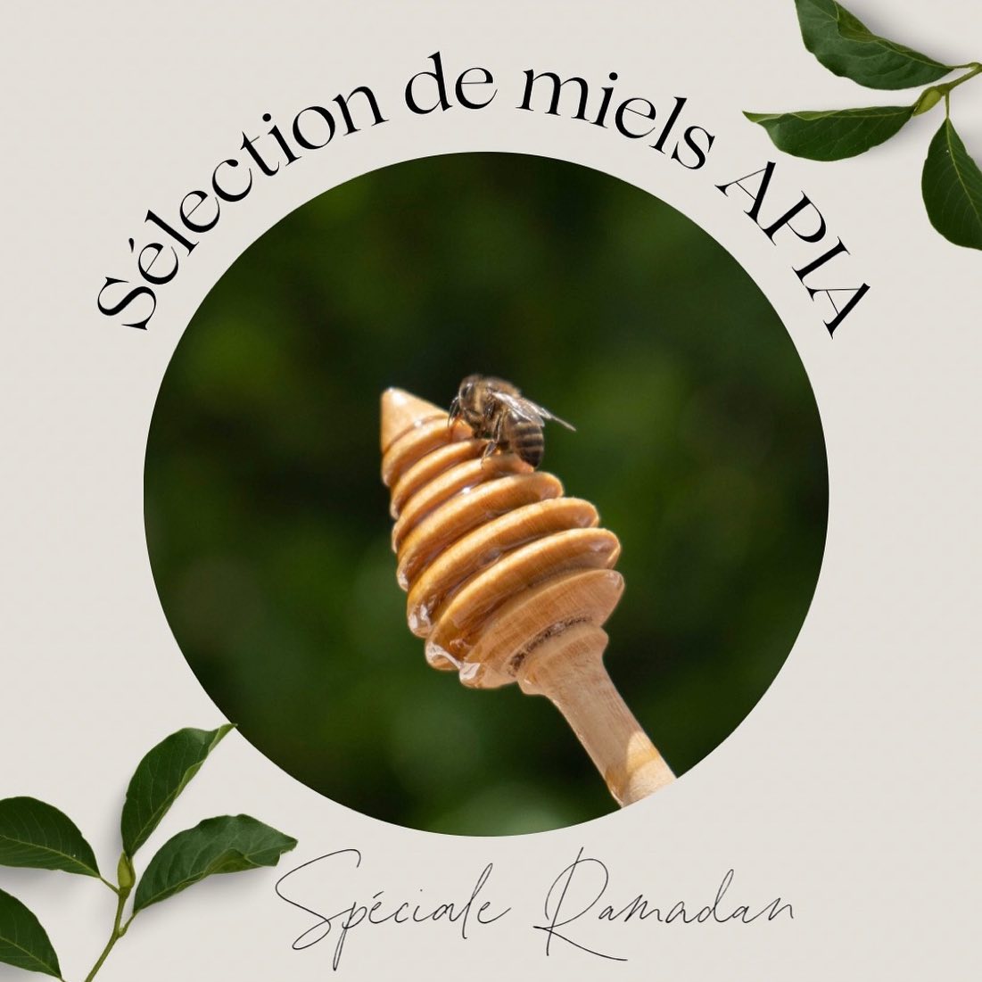 APIA Maroc - L'apiculture 🐝 joue un rôle essentiel dans la...
