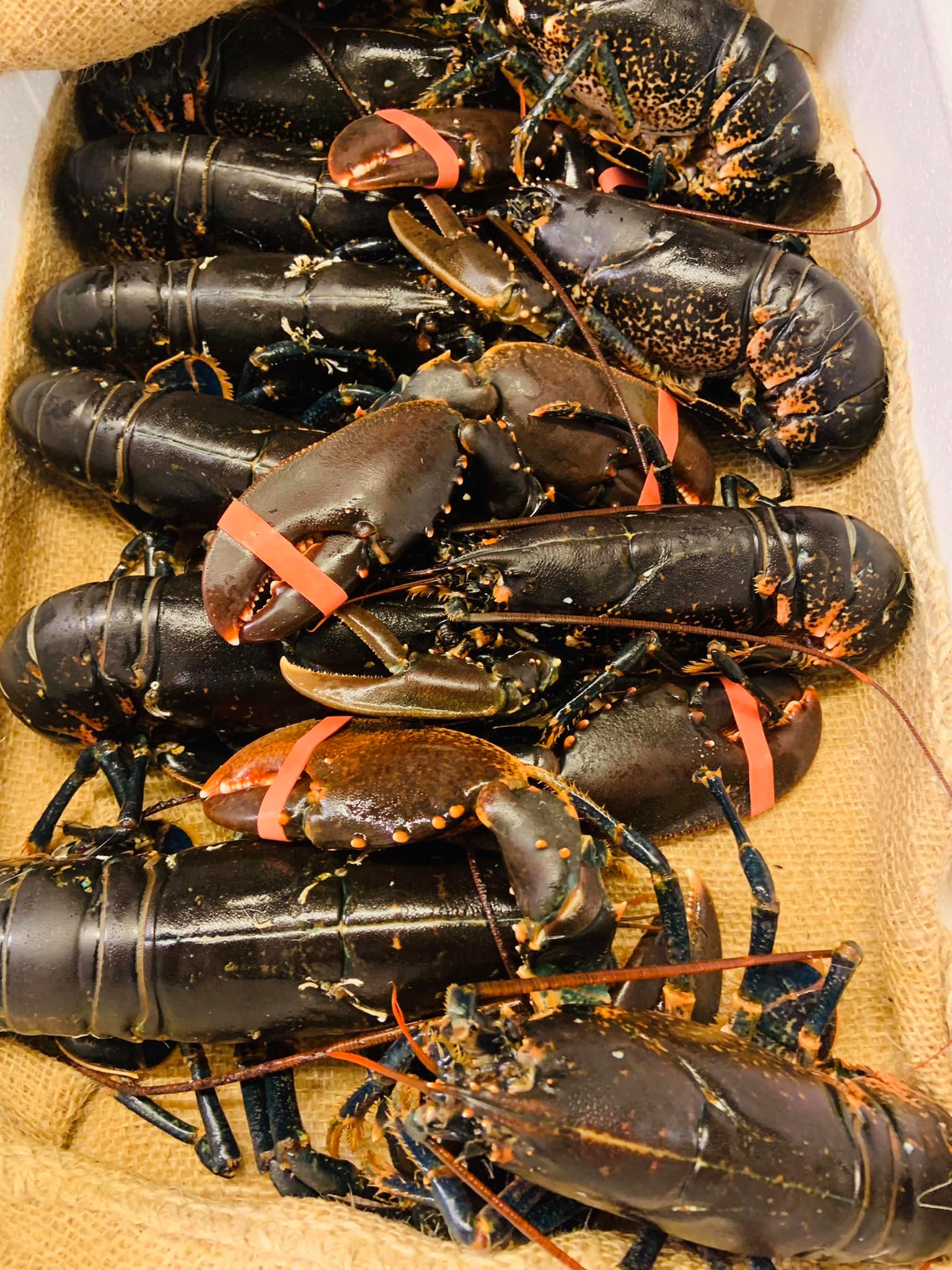Ny menu i Fjordværk fra på... - Tambohus Kro & Badehotel | Facebook