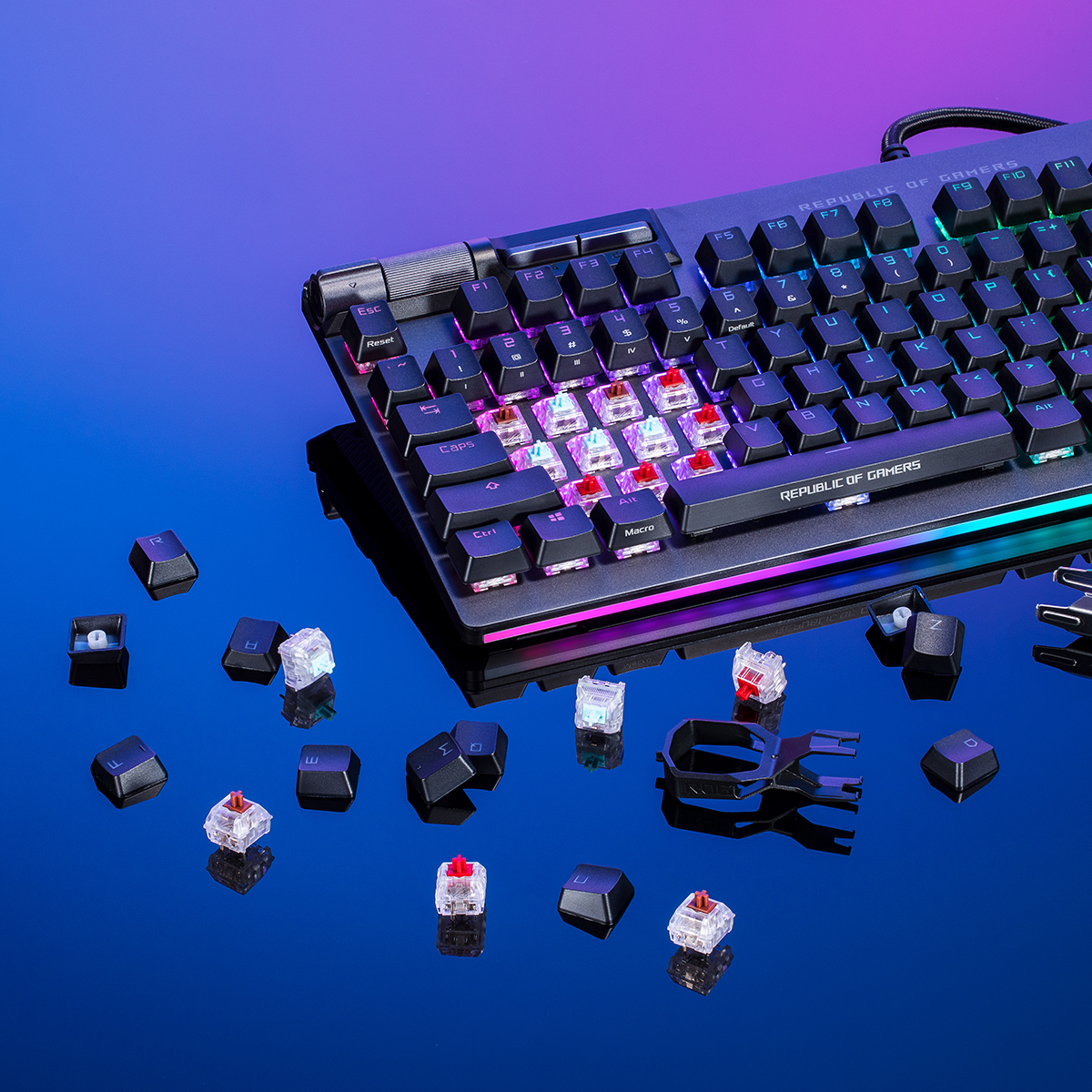 Are you a [⌨️] lover? If yes, I... - ASUS Republic of Gamers