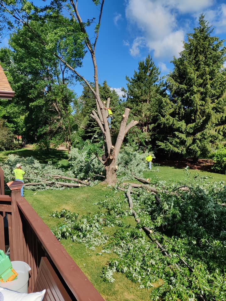 Vince's Tree and Landscape, LLC