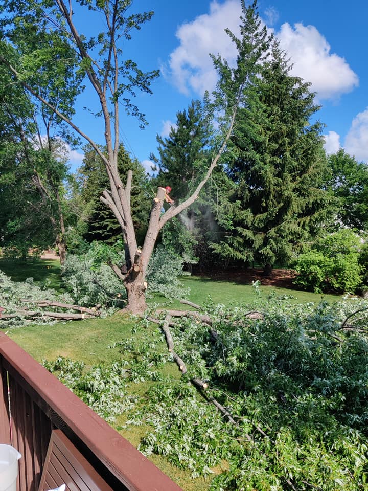 Vince's Tree and Landscape, LLC