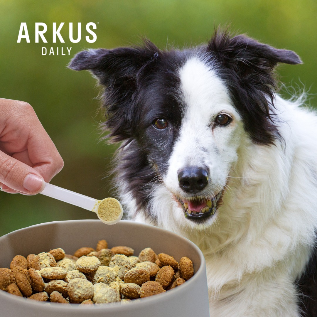 Arkus - A probiotic not sourced from the microbes that exist naturally ...