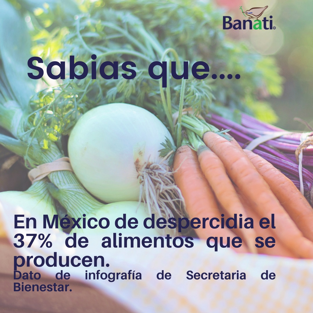 Banati A.C. - En Banati seleccionamos, rescatamos y...