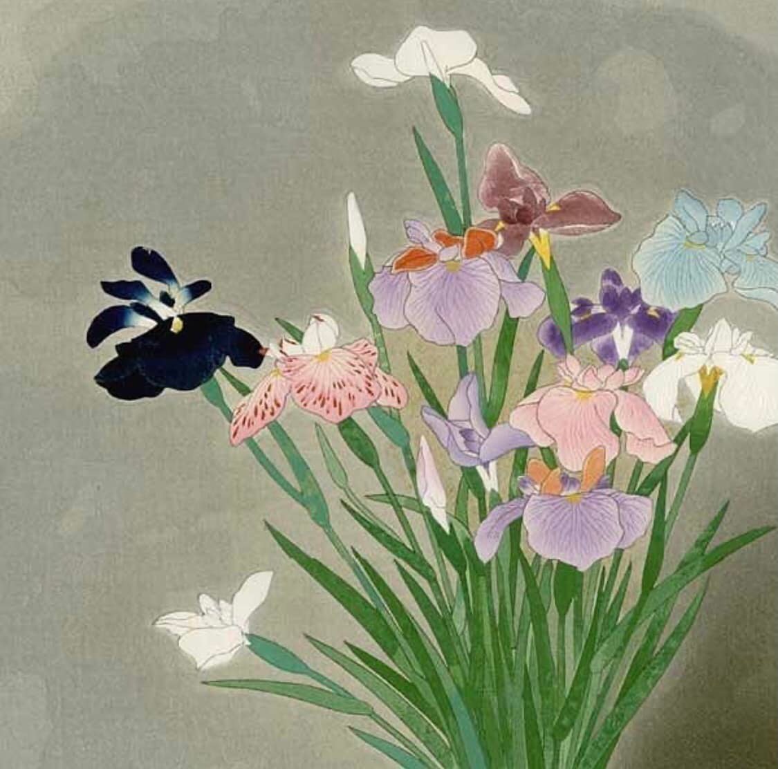 Masterpieces of Japan Fruit, by Kobayashi Kokei, 1910