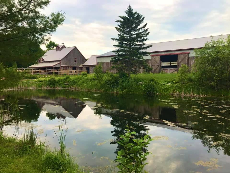 MOOSE RIDGE FARM | Lincolnville ME