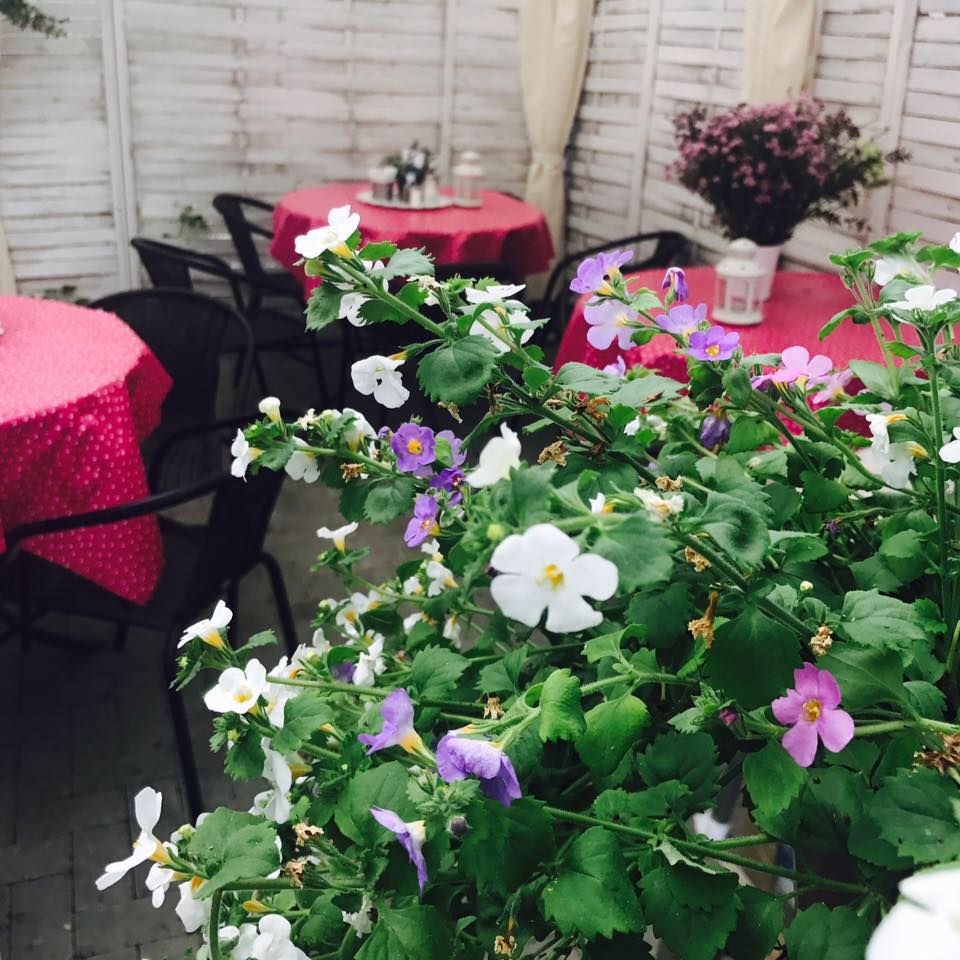 bistro-ola-laa-s-ubice