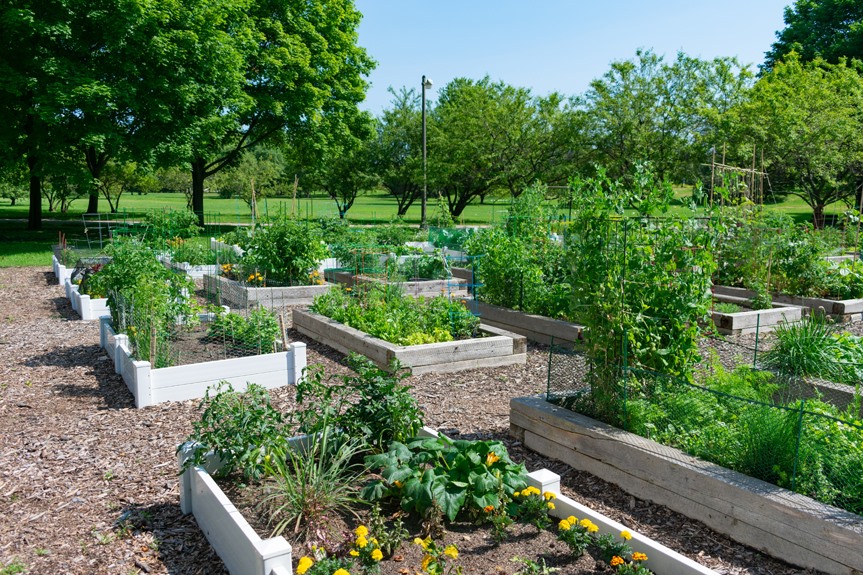 Havana Community Gardens | Havana IL
