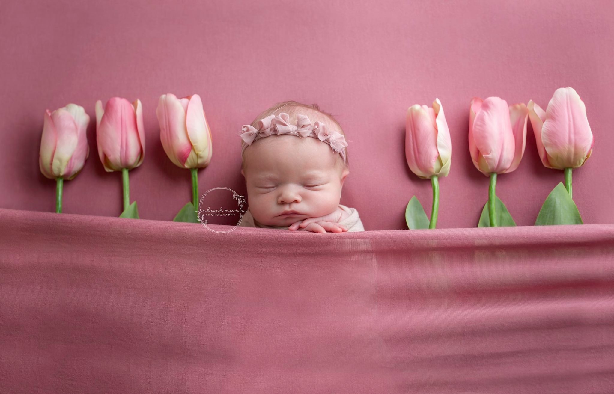 Danielle Rae Photography added... - Danielle Rae Photography