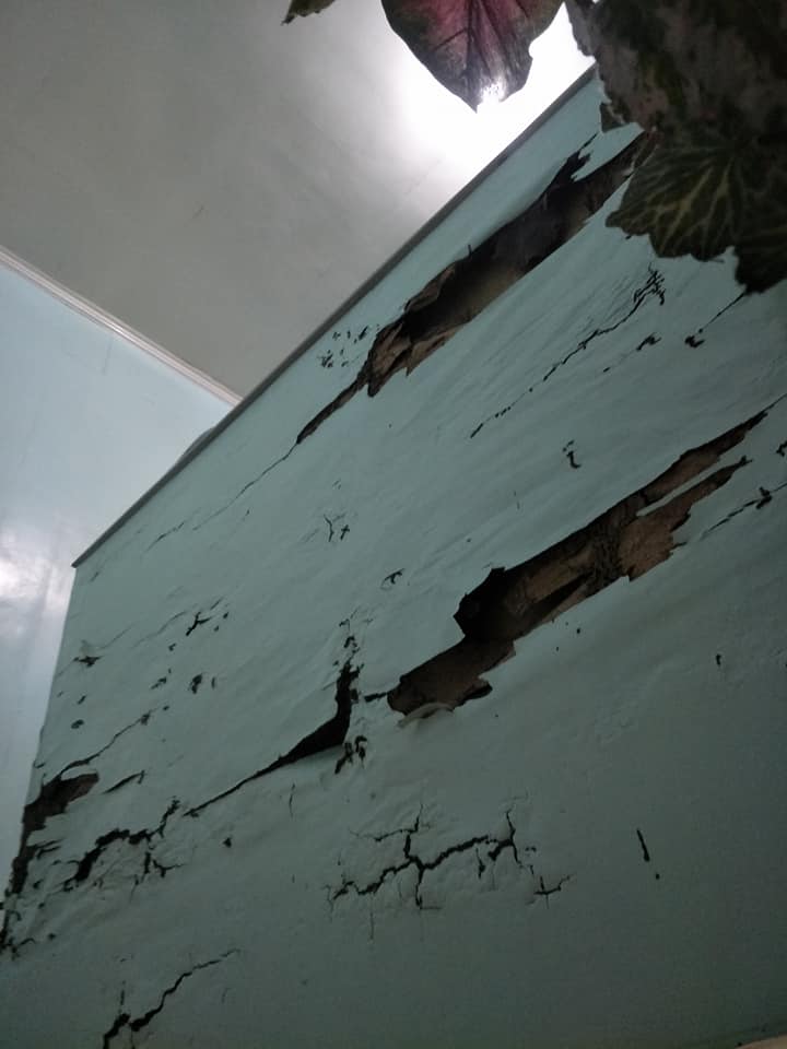 Pronto Pest Control Services