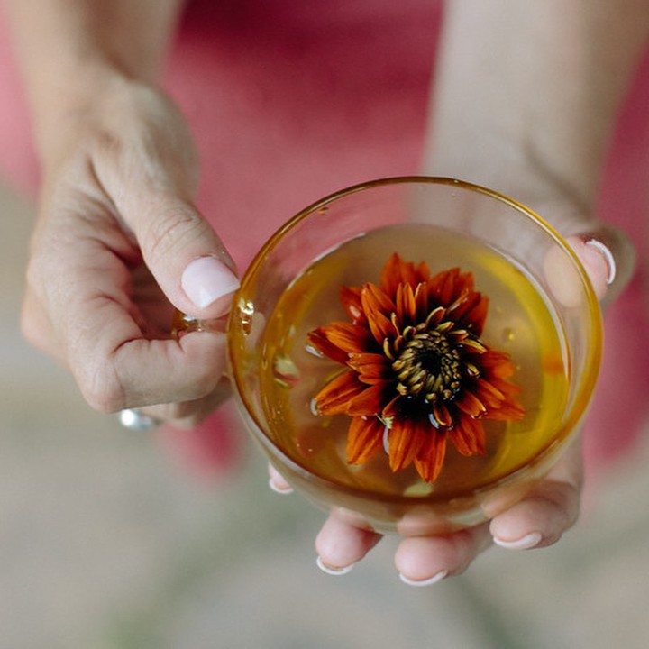 Anna's Tea