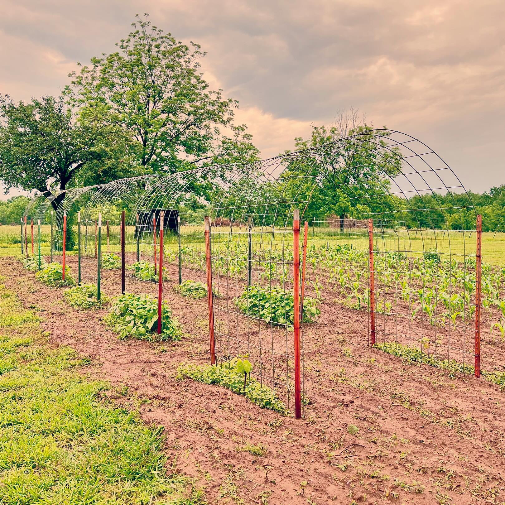 Walker Ranch | Miami OK
