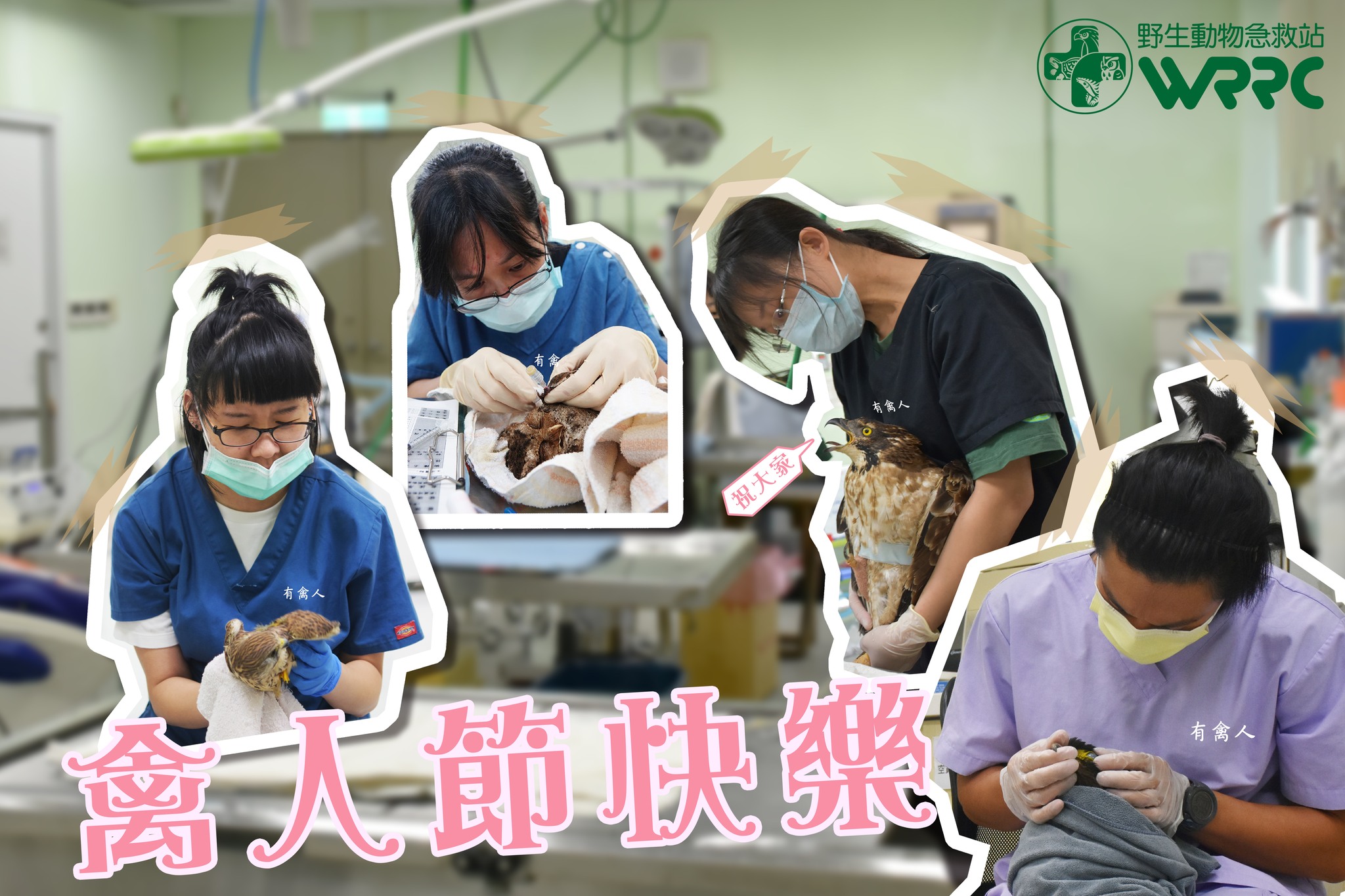 野生動物急救站 - 早晨的診療室，獸醫師人手一禽，正在為住院的動物們進行醫療處置。 ... | Facebook