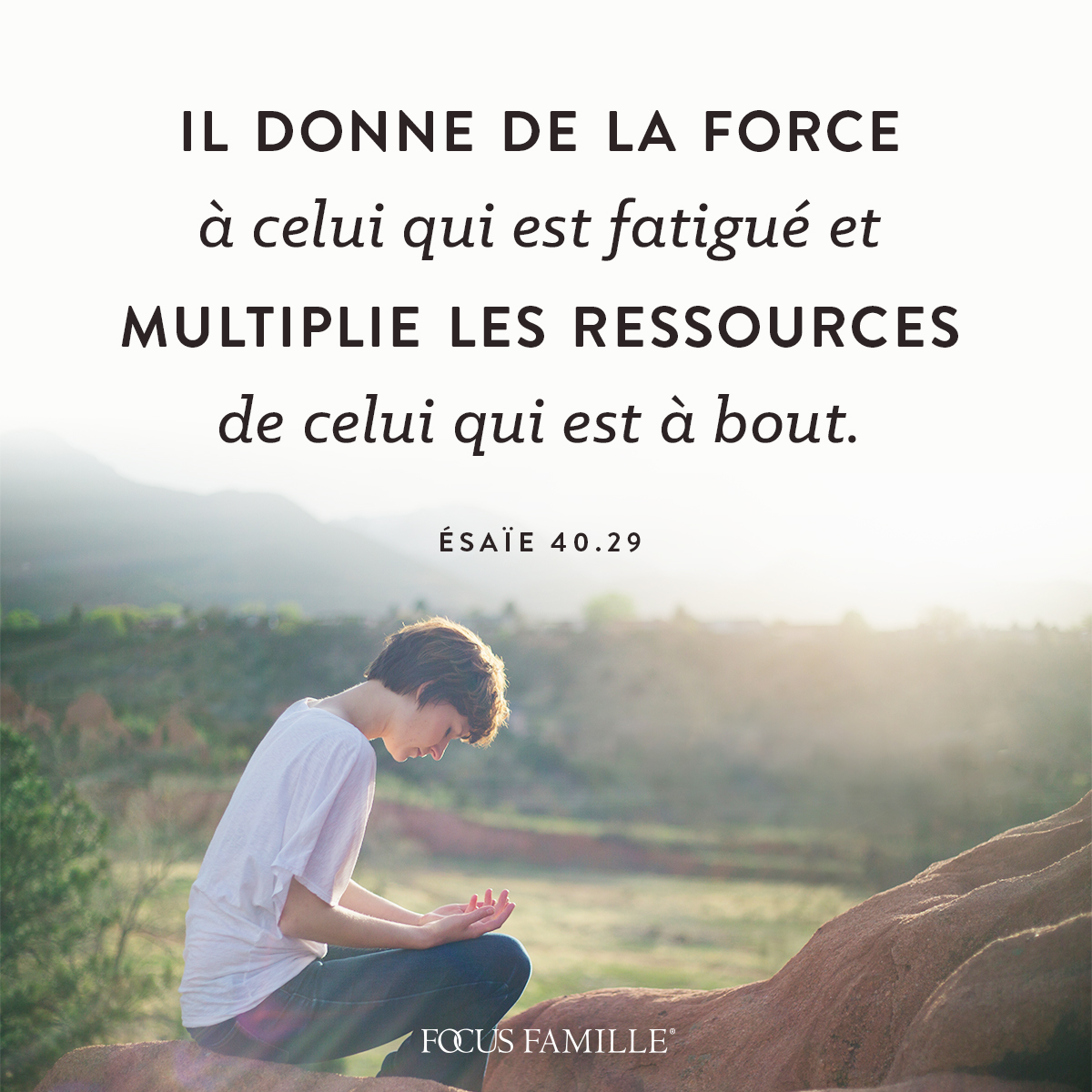 Focus Famille Posts Facebook