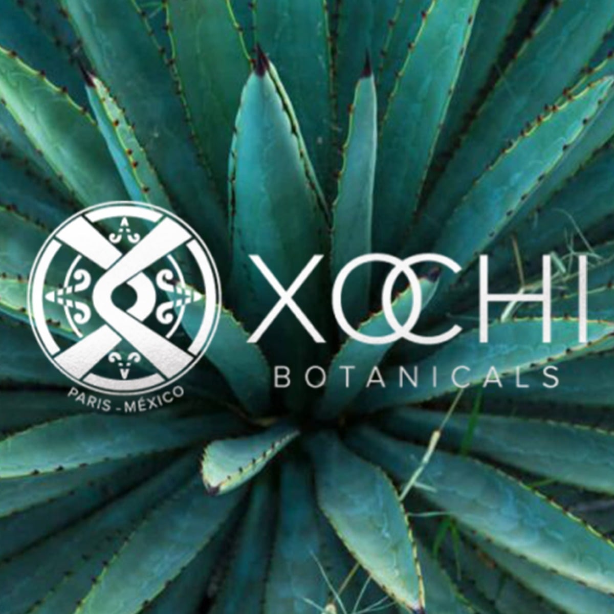 XOCHI Botanicals USA