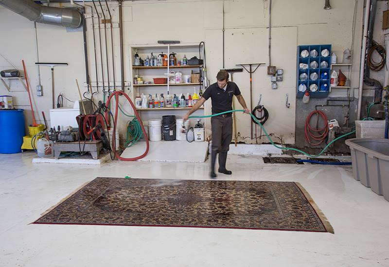 Star Rug Cleaners | Santa Barbara CA