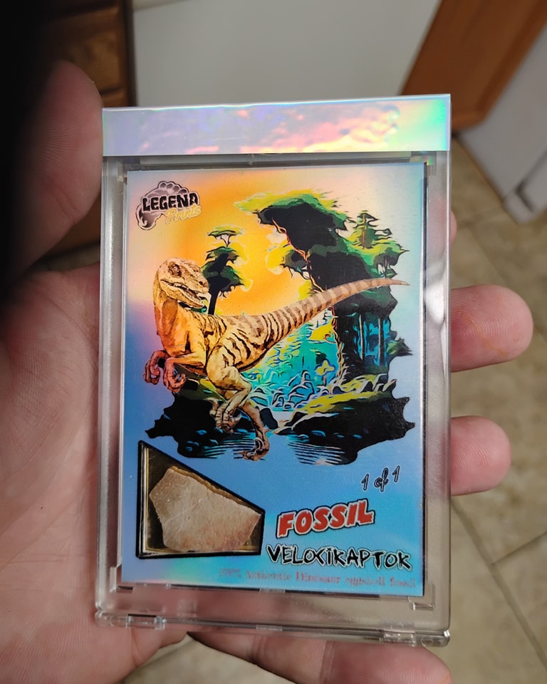 Legend Prints - First mem/fossil Card I made. VELOCIRAPTER