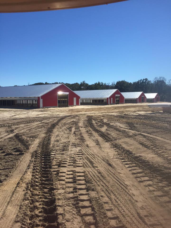Southern Farm & Wind Insurance