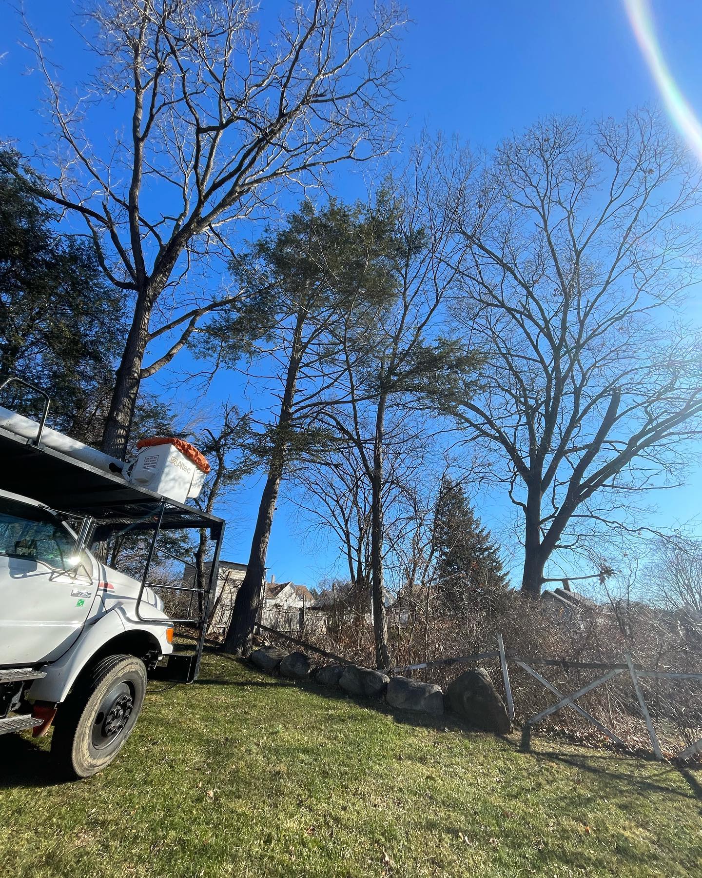 It was a 2 tree Tuesday... - Pine Ridge Tree & Excavation CT | Facebook