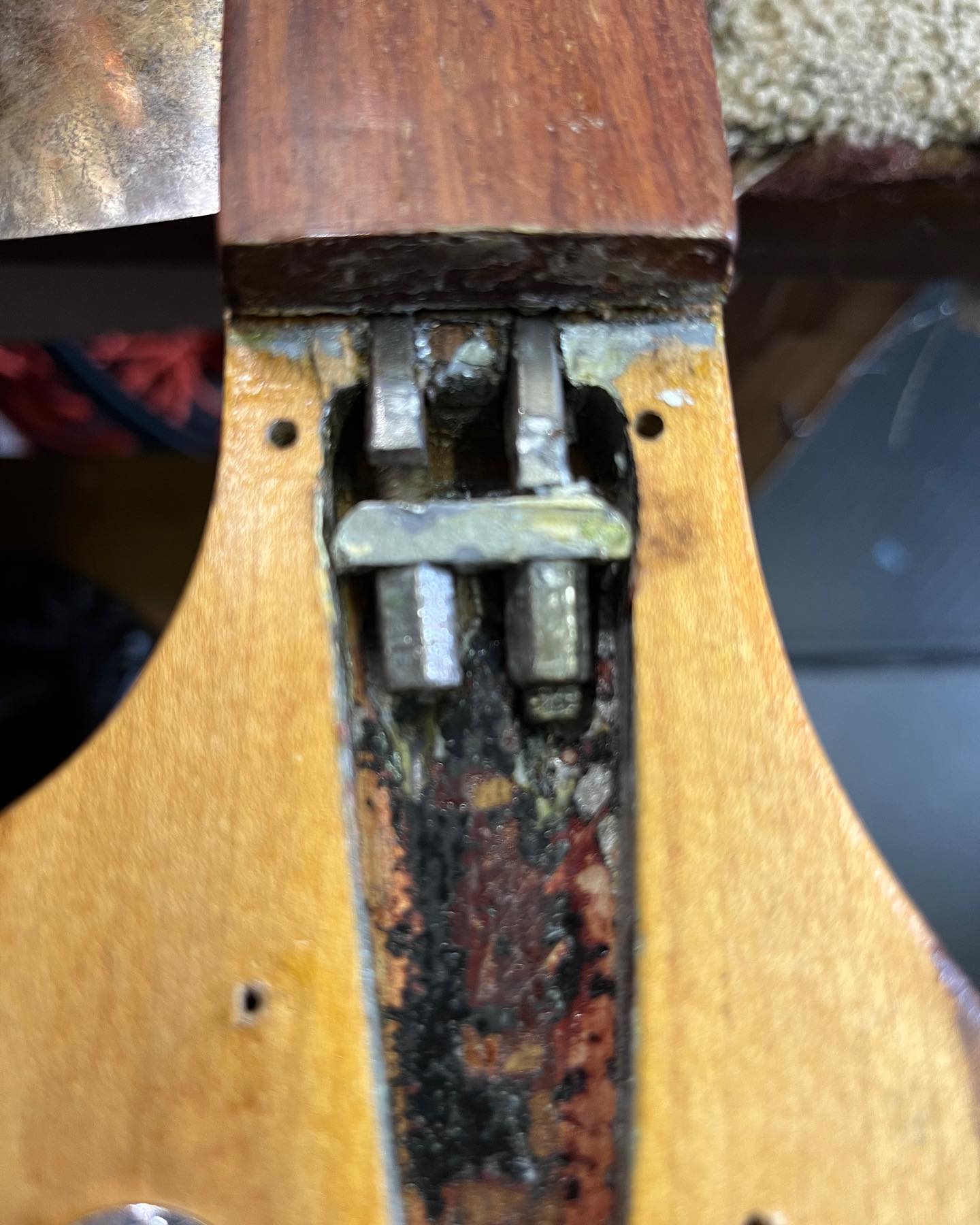 Rickenbacker 4001 neck shape issues with modern models