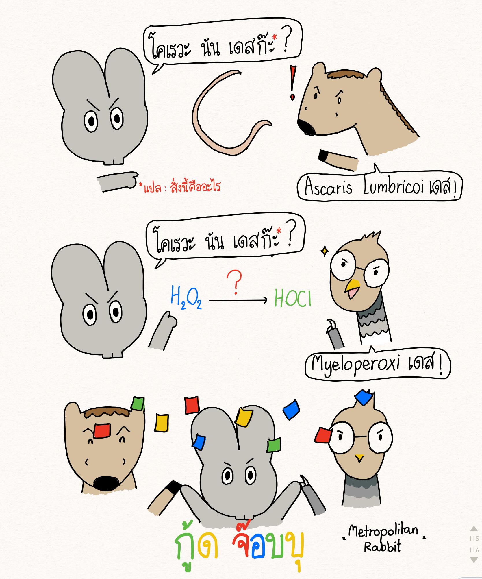 Metro Rabbit - ญี่ปุ่นวันละคำ เอื้อเฟื้อมุขโดย:... | Facebook
