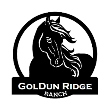 GolDun... - GolDun Ridge Ranch - Foundation Quarter Horses