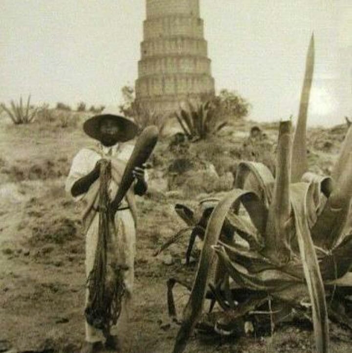 Casa Conejo - El acocote es al tlachiquero como nuestra... | Facebook