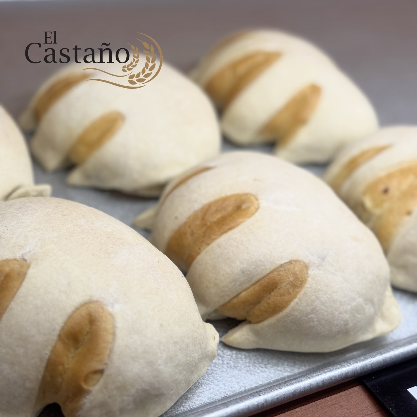 Panadería el Castaño San Nicolás “Plaza Galias” | San Nicolás de los Garza