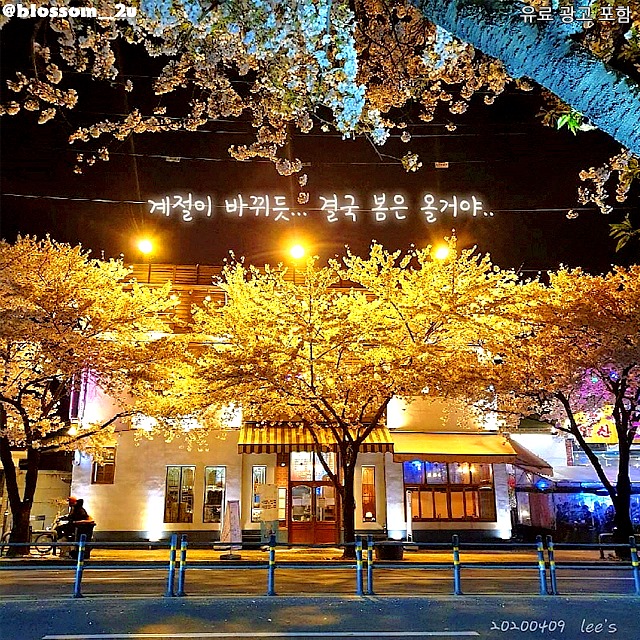 대구맛집따봉 - #앞산 에 있다는 개화기 레트로 감성 밥집&술집 #단포식당 @대명동490-2 🍴... | Facebook