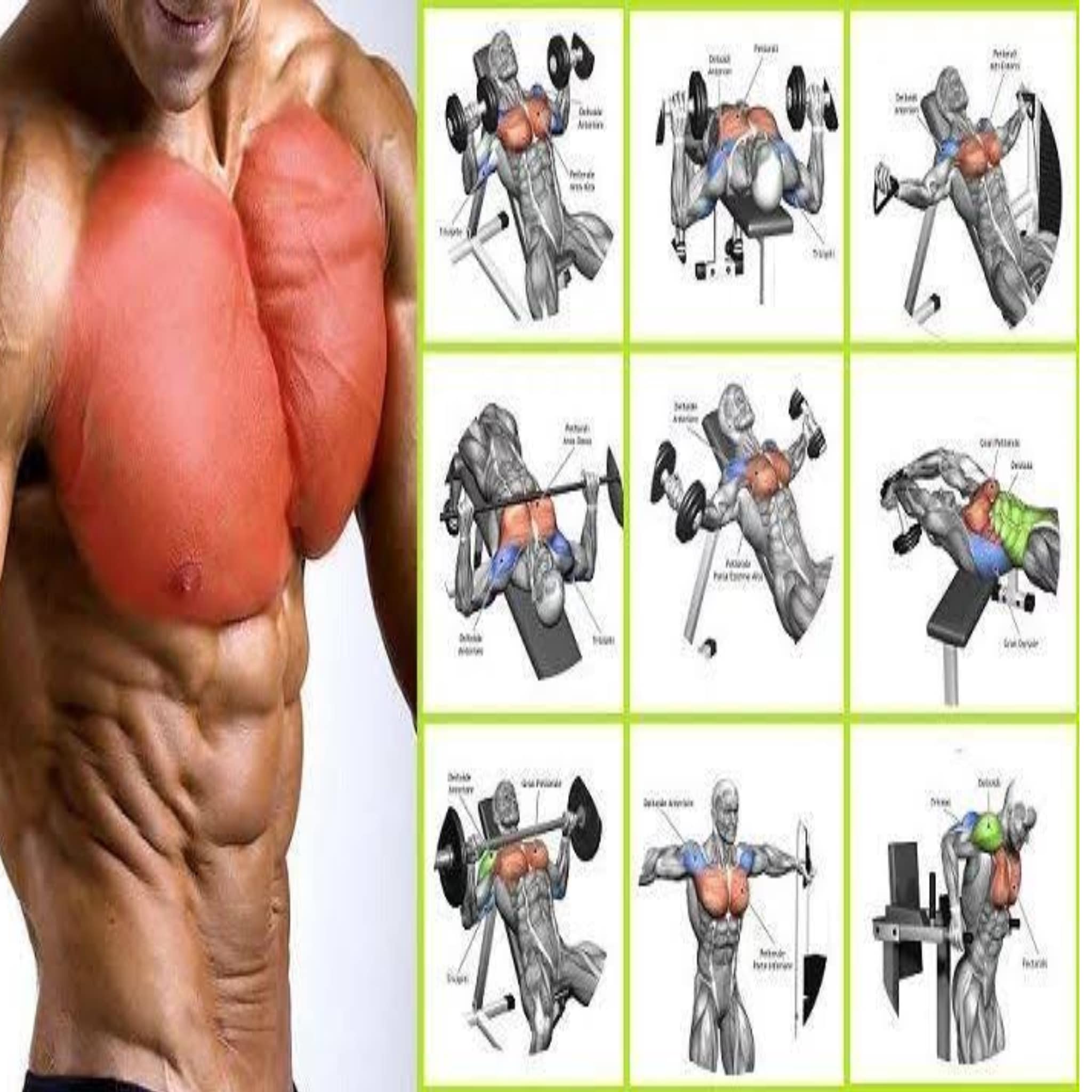 5 ejercicios para tu rutina de pecho 🔥... - Aztethic Fitness