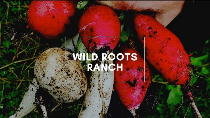 Wild Roots Ranch | Saint Augustine FL
