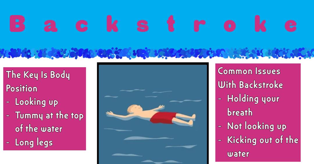 Swimwell - Backstroke is the only stroke where swimmers face is out of ...