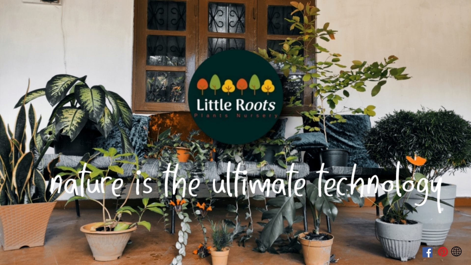 Little Roots | Udugampola