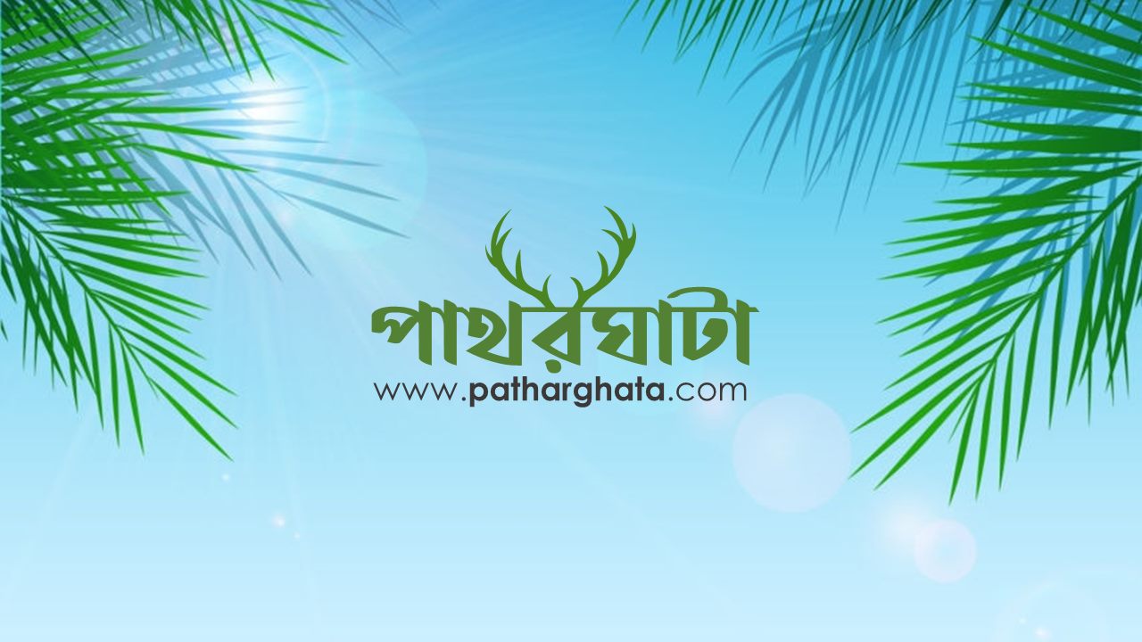 Patharghata.com