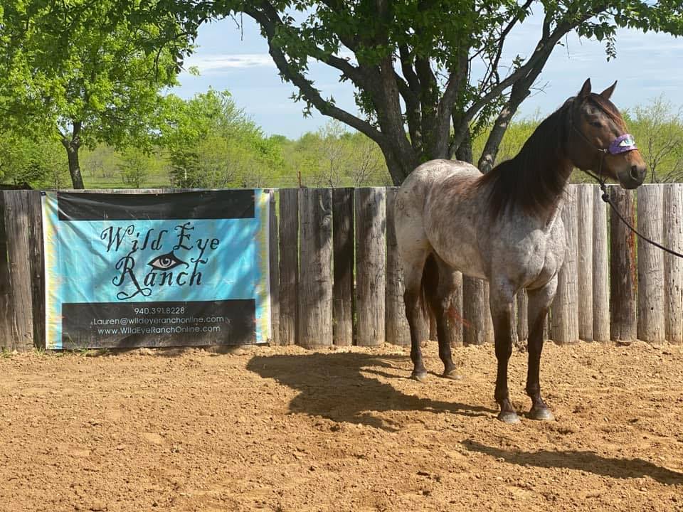 Wild Eye Ranch Raffles