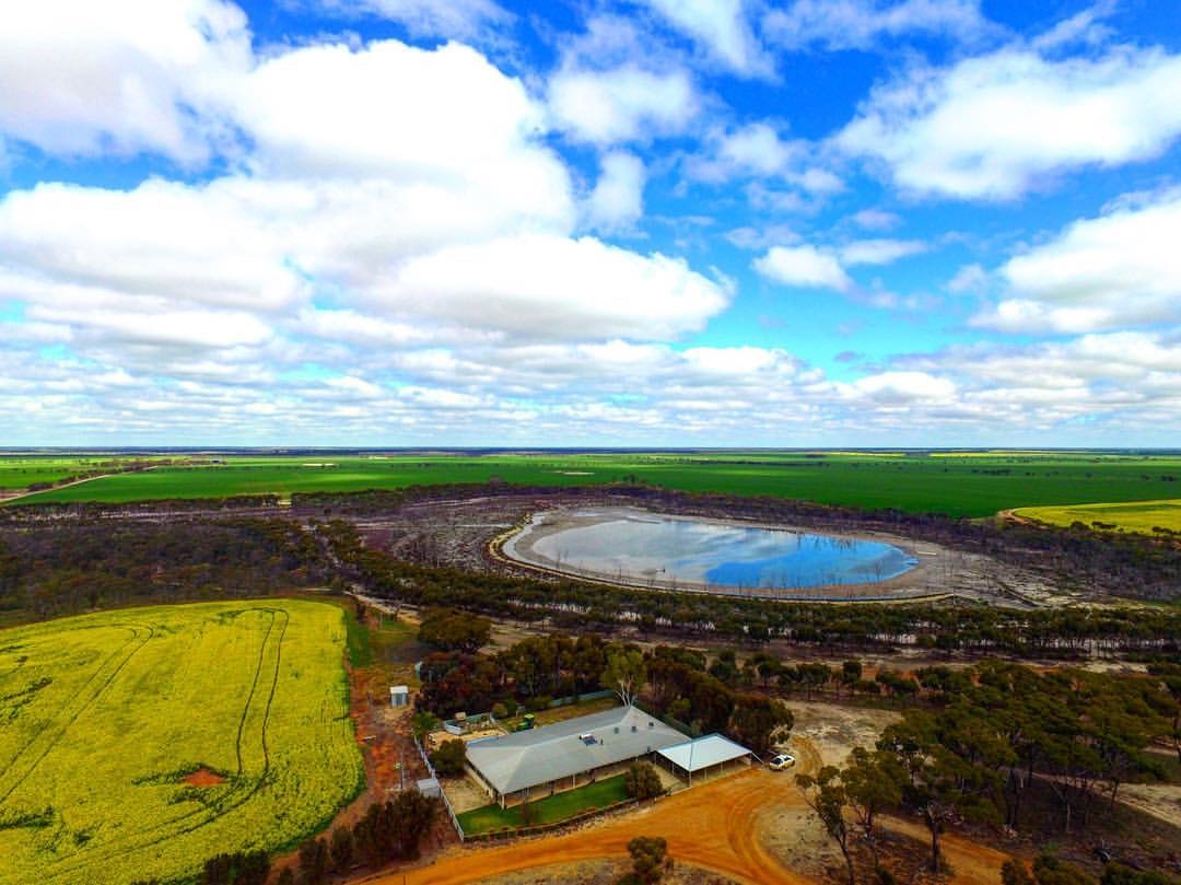Redman Farms - On farm lime pit to paddock | Facebook