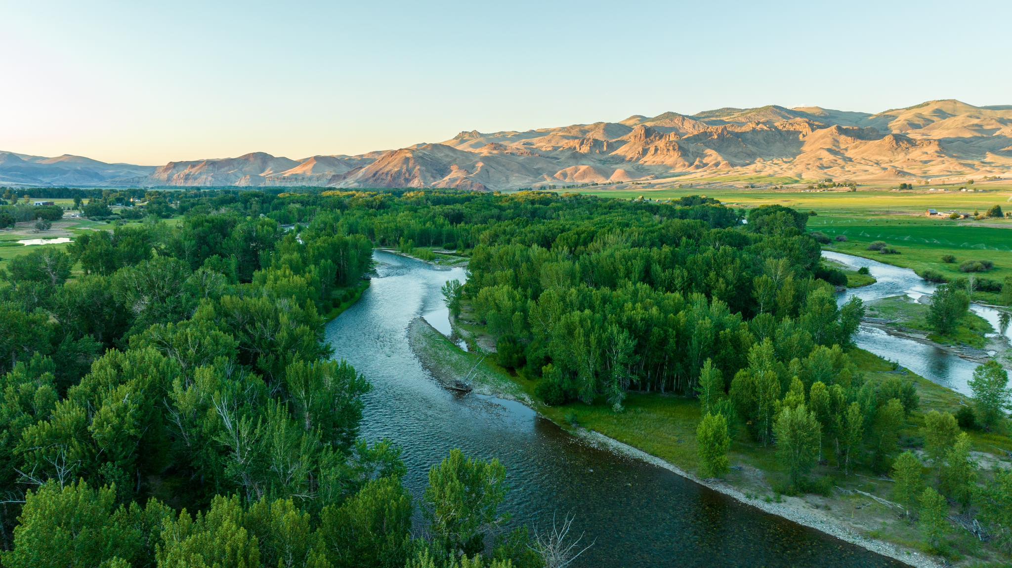 Brandon Hamilton - Whitetail Properties Real Estate - South Central Idaho