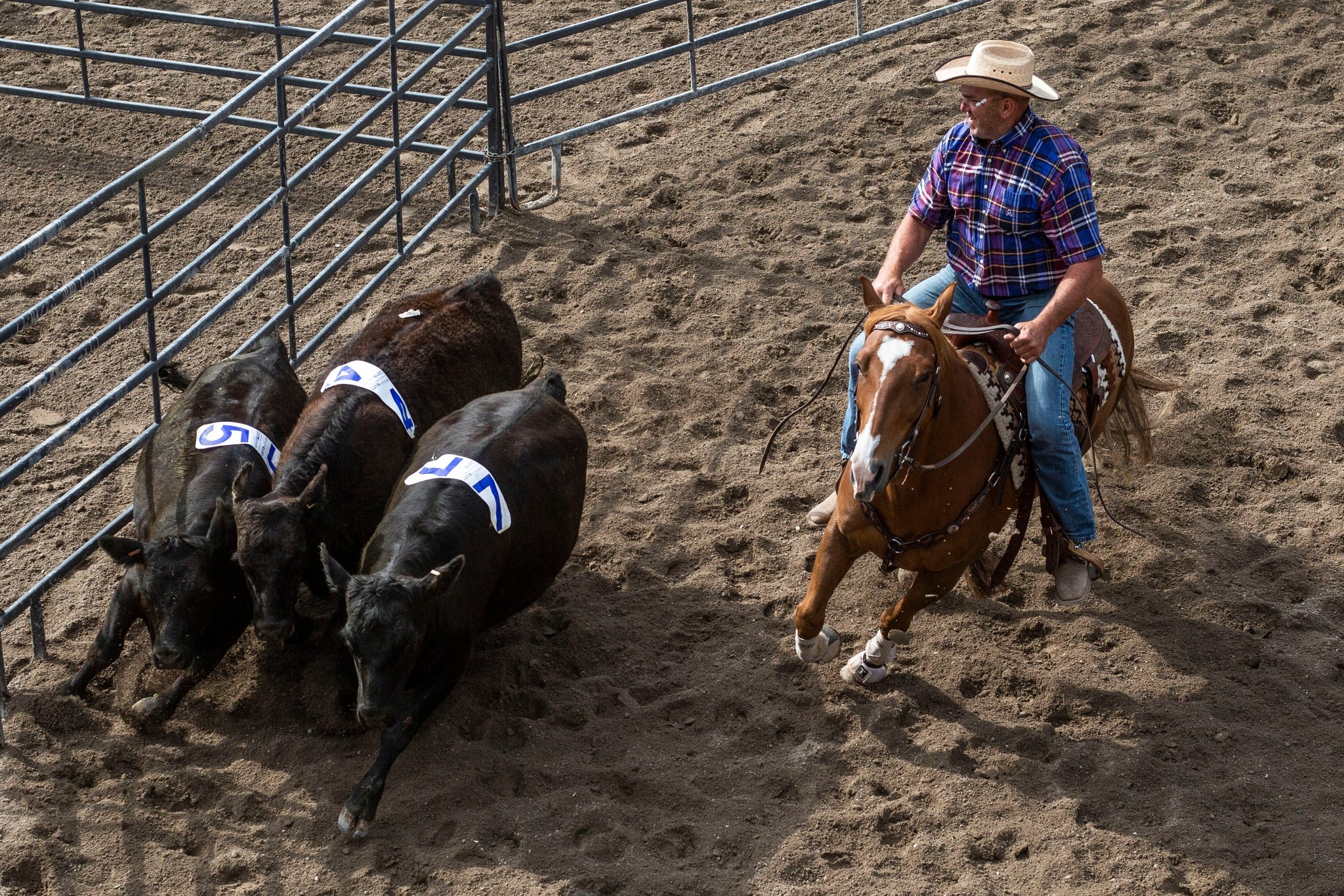 Great - The Illinois Boots and Saddle Club presents their IBSC Ranch ...